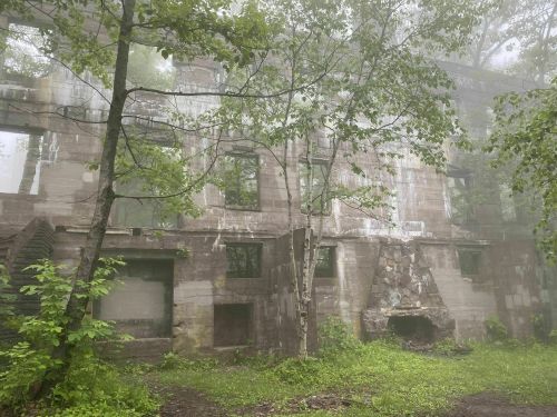 Foggy scene of a weathered stone building surrounded by trees and greenery, with a partially collapsed structure.