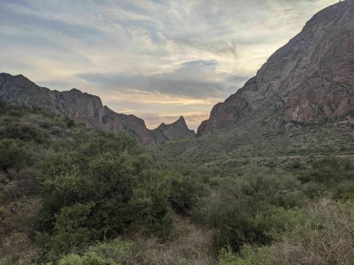 A scenic view of mountains and valleys under a cloudy sky at sunset, with lush greenery in the foreground.
