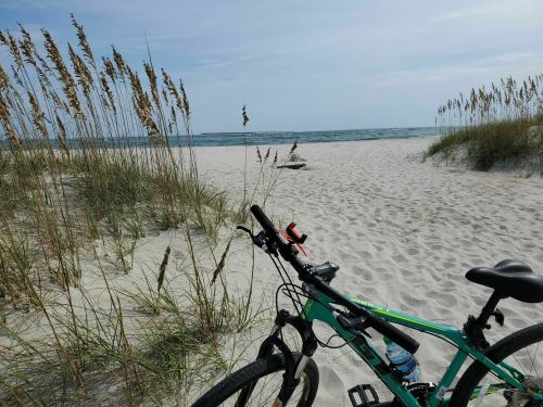 A bicycle rests on sandy beach dunes, with tall grass and the ocean visible in the background under a clear sky.