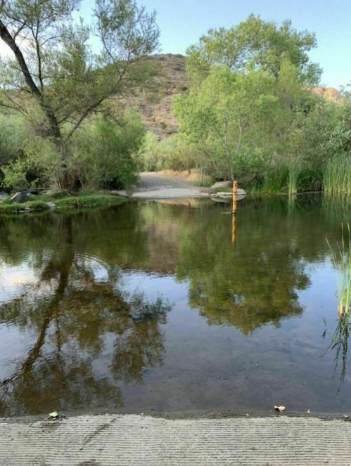 A serene pond surrounded by lush greenery and trees, reflecting the landscape and a distant hill.