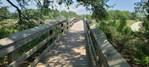 A wooden boardwalk winds through lush greenery under a clear blue sky.