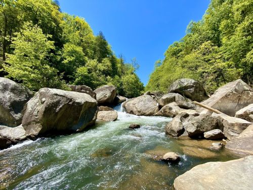 A serene river flows through large rocks, surrounded by lush green trees under a clear blue sky.