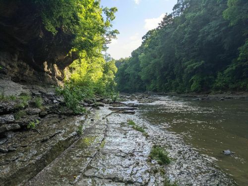 A serene riverbank scene with lush greenery and rocky terrain under a clear blue sky.