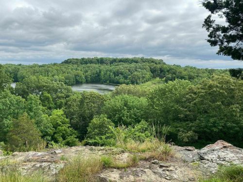 A scenic view of a lush green landscape with a lake surrounded by trees under a cloudy sky.