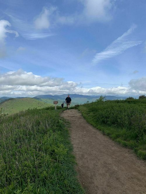A person walking a dog on a dirt path with green hills and a blue sky in the background.