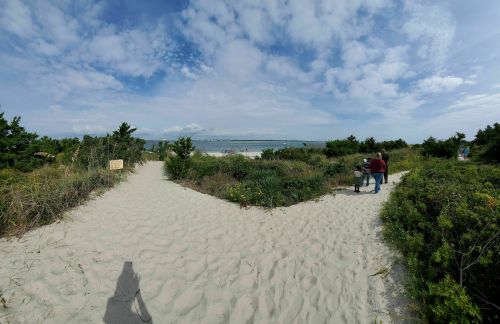 A sandy path leads to the beach, surrounded by greenery and a cloudy sky, with a person walking in the distance.