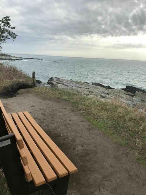 A wooden bench overlooks a rocky coastline under a cloudy sky, with grass and shrubs in the foreground.