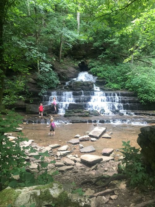 Three people explore a rocky stream with a small waterfall surrounded by lush green trees.