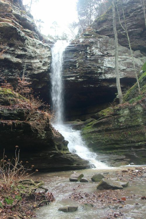 A waterfall cascades down rocky cliffs surrounded by trees and a stream in a serene natural setting.