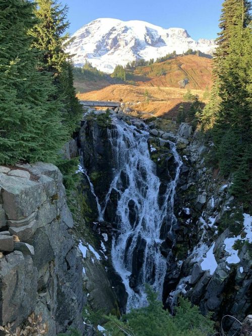 A waterfall cascades down rocky terrain, surrounded by evergreen trees, with a snow-capped mountain in the background.