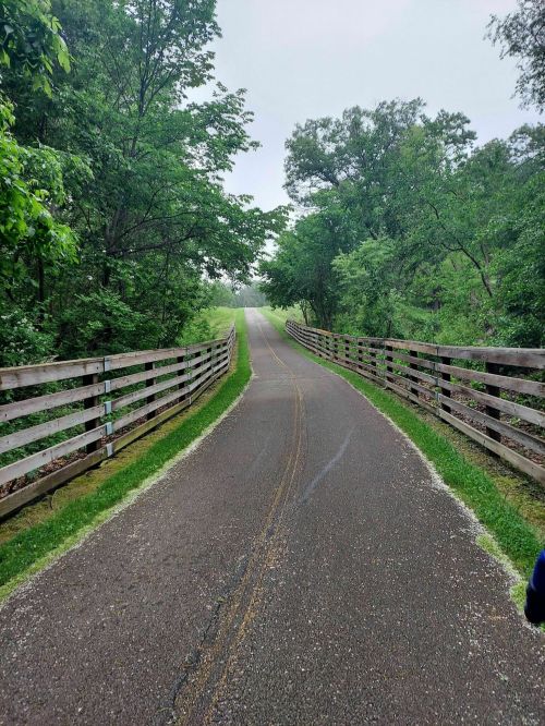 A winding path through lush greenery, flanked by wooden railings, leading into a misty distance.