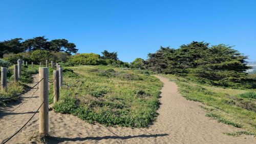 A sandy path winds through lush greenery and trees under a clear blue sky.
