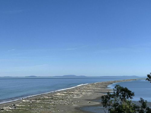 A serene coastal view with a sandy shore, driftwood, and distant mountains under a clear blue sky.