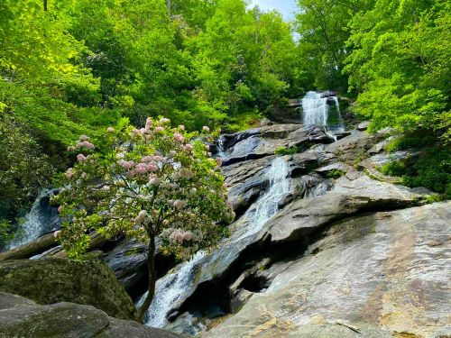 A serene waterfall cascades over rocky terrain, surrounded by lush green trees and a blooming pink flower tree.