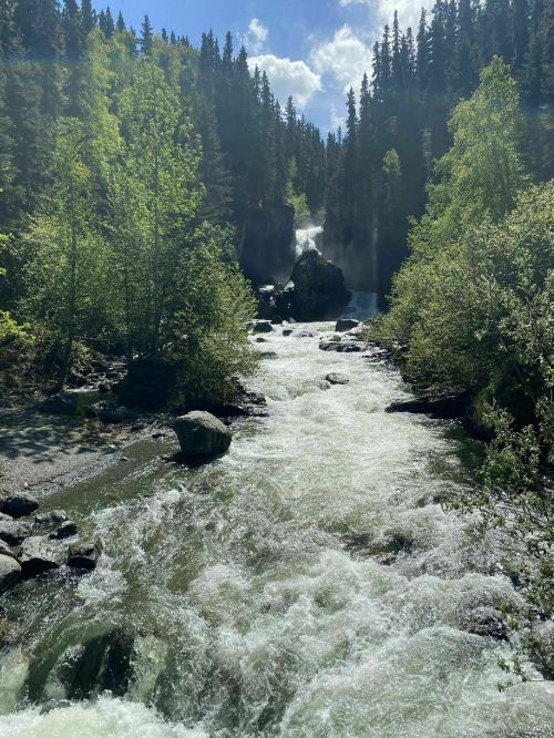 A rushing river flows through a lush green landscape, with trees and a waterfall in the background under a blue sky.