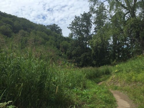 A winding dirt path through lush greenery and trees under a partly cloudy sky.