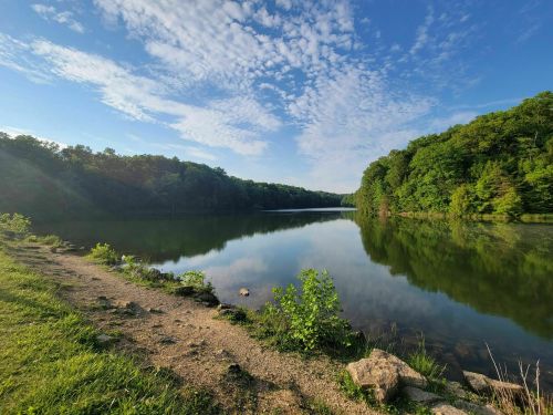 A serene lake surrounded by lush greenery and a clear blue sky with scattered clouds.