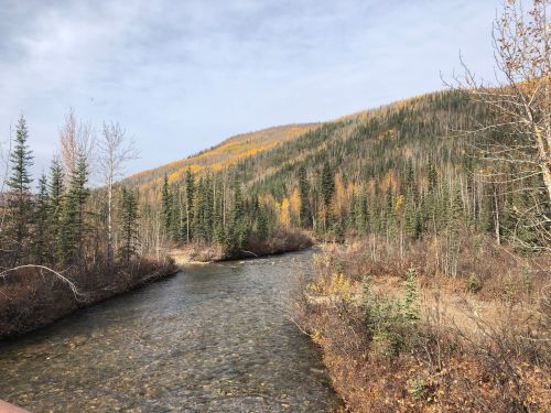 A serene river flows through a forested landscape with autumn foliage on the hills in the background.