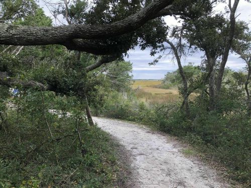 A winding dirt path through lush greenery leads to a scenic view of a marshland under a cloudy sky.