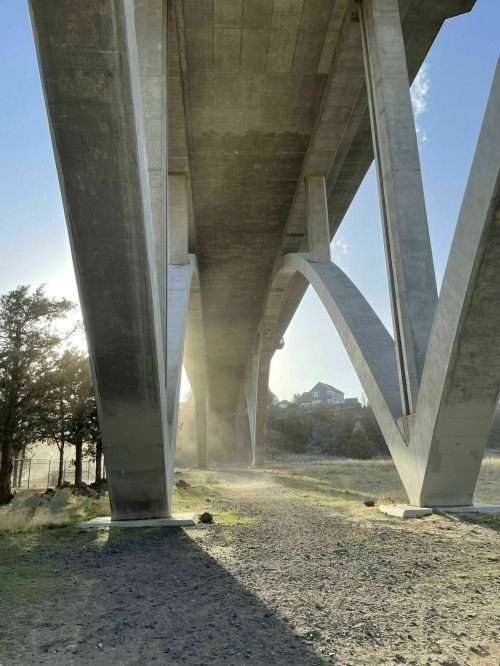 View from beneath a large concrete bridge, with sunlight filtering through and trees in the background.