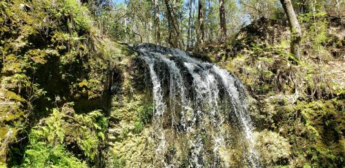 A serene waterfall cascading over moss-covered rocks, surrounded by lush greenery and trees in a sunny forest.
