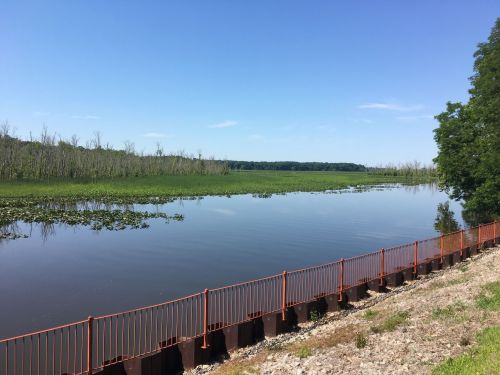 A calm river scene with a metal railing, surrounded by green vegetation and trees under a clear blue sky.