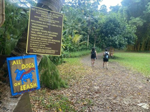 Two people walk along a path in a lush area, with signs about dog policies and commercial activities nearby.