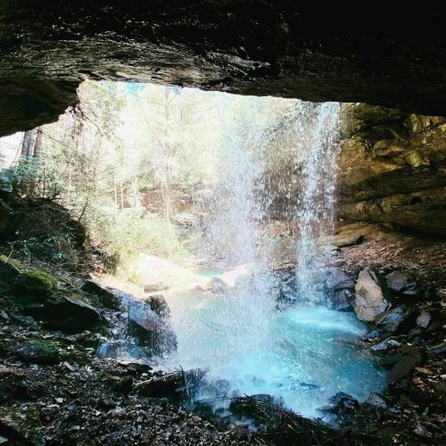 A serene waterfall cascades over rocks, surrounded by lush greenery and sunlight filtering through the trees.