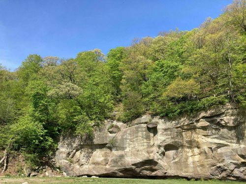 Lush green trees atop a rocky cliff under a clear blue sky, with a serene river in the foreground.