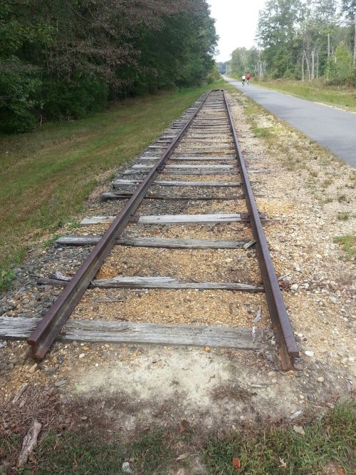 Abandoned railway tracks running alongside a grassy path, surrounded by trees and a distant road.