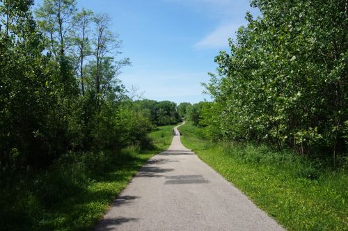 A winding path through lush greenery under a clear blue sky, inviting exploration and tranquility.