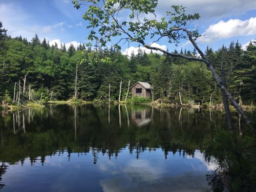 A serene pond surrounded by lush trees, reflecting a rustic cabin and blue sky with clouds.