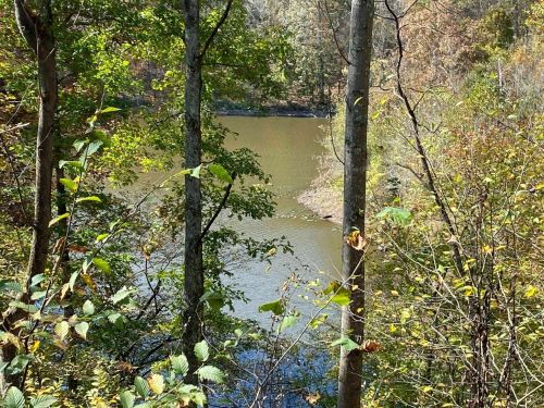 A serene view of a river surrounded by trees and foliage in a peaceful natural setting.