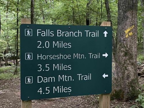 Trail sign in a forest indicating distances to Falls Branch Trail (2.0 miles), Horseshoe Mountain Trail (3.5 miles), and Dam Mountain Trail (4.5 miles).