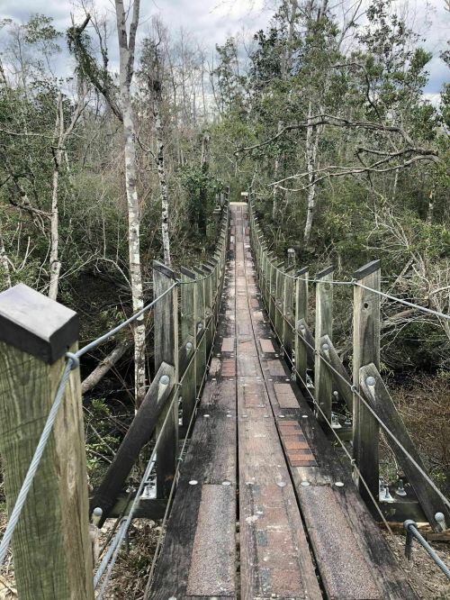 A wooden suspension bridge stretches through a dense, green forest under a cloudy sky.