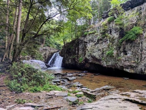 A serene waterfall cascades over rocks, surrounded by lush greenery and towering trees in a tranquil forest setting.