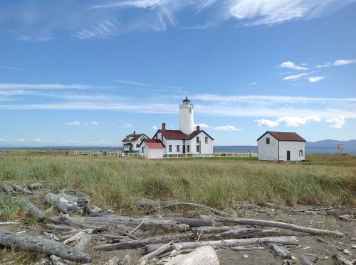 A white lighthouse with a red roof stands near the shore, surrounded by grass and driftwood under a blue sky.
