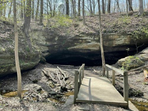 A wooden bridge leads to a cave entrance surrounded by trees and rocky terrain in a forested area.