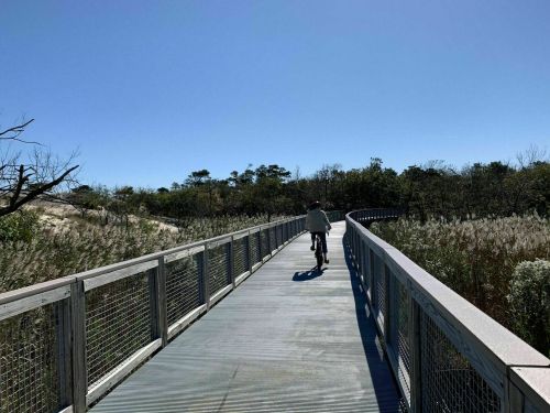 A person rides a bicycle on a wooden boardwalk surrounded by greenery under a clear blue sky.