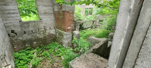 Overgrown ruins of a concrete structure, with greenery and trees reclaiming the space.