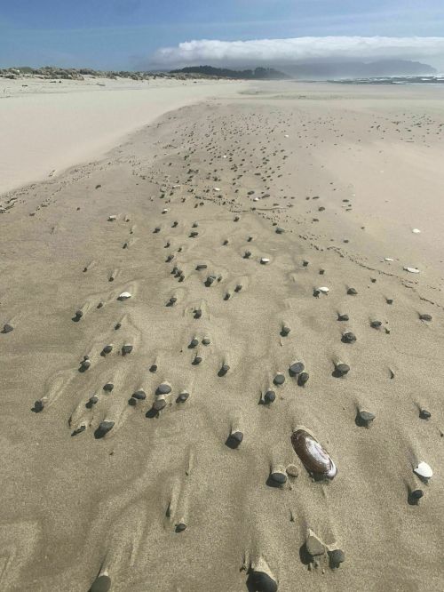 A sandy beach with scattered shells and pebbles, under a clear blue sky and distant hills.