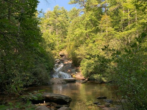 A serene forest scene featuring a waterfall cascading into a calm pool, surrounded by lush greenery and tall trees.