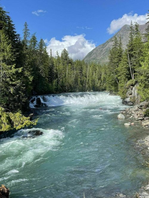 A serene river flows through a lush forest, with cascading waterfalls and mountains in the background under a blue sky.