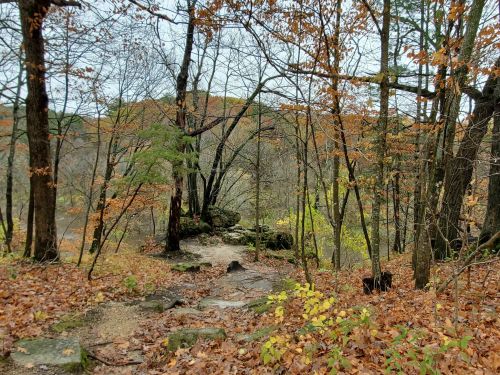 A serene forest path surrounded by trees with autumn leaves, leading to a rocky area near a calm body of water.
