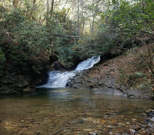 A serene waterfall cascades into a clear pool, surrounded by lush greenery and rocky terrain in a tranquil forest setting.