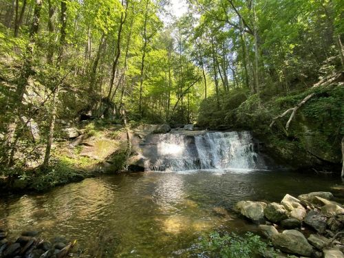A serene waterfall cascades into a clear pool, surrounded by lush green trees and rocky terrain.