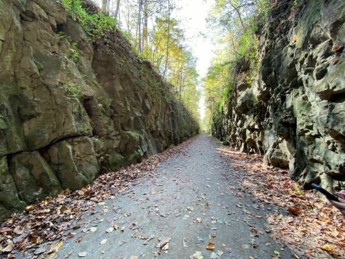 A narrow path between tall rock walls, lined with autumn leaves and surrounded by trees in a bright, sunny setting.