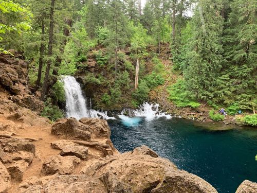 A serene waterfall cascades into a deep blue pool, surrounded by lush green trees and rocky terrain.