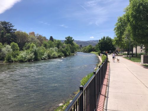 A scenic river flows beside a walking path, with trees lining the banks and people walking their dogs on a sunny day.
