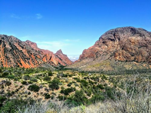 A scenic view of rugged mountains and a clear blue sky, with green vegetation in the foreground.